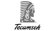 Tecumesh2